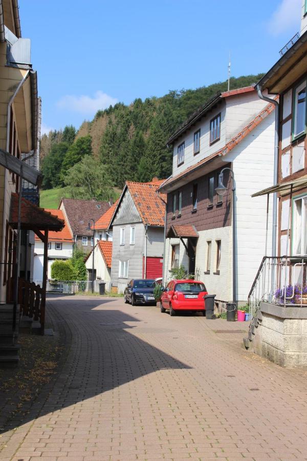 Haus Hirtenbergblick Lonau Buitenkant foto