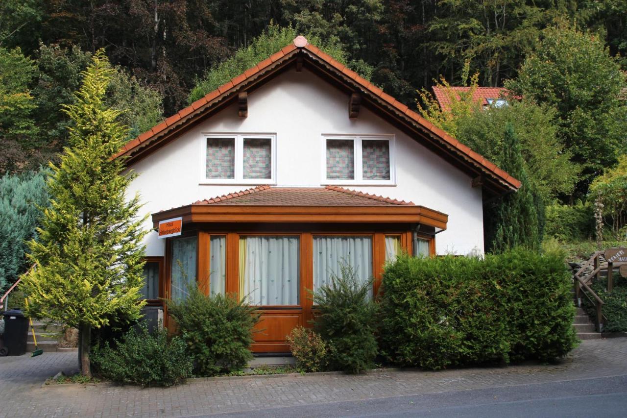Haus Hirtenbergblick Lonau Buitenkant foto